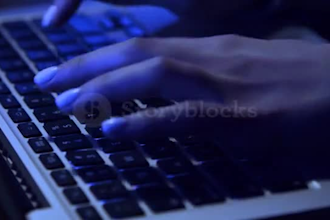 data entry and ms office export