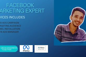 setup and manage facebook ads manager and campaign