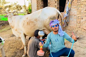wish funny african happy birthday video or happy birthday