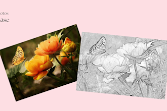 photo to draw and art convert your photo to line drawing