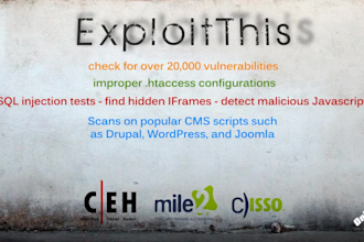 do a full SECURITY audit of your website like a hacker