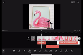 add english subtitles, captions to your video, srt file