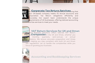 provide UK vat return preparation and submission services