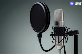 chinese female voice 400 words for 5 dollars