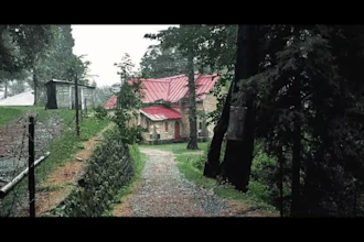 do professional photo, video editing, cinematic color grading