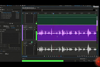 podcast editing podcast transcription  graphic designing