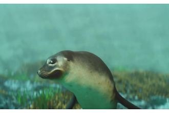 3d disney pixar animation, 3d short film, cgi animation, cartoon character