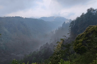 record, rain, nature, forest and countryside videos