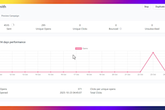 manage effective bulk email marketing campaigns for your business