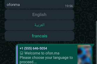 make a custom whatsapp bot with advanced features