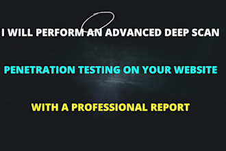 professionally conduct penetration testing for any type of website