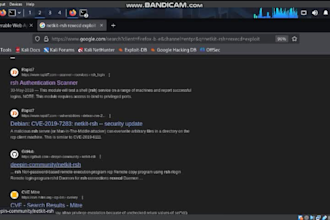 perform owasp top 10 vulnerability assessment on your site