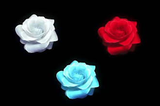 create amazing golden lotus flower animation in a full HD