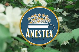 design a great logo for your bussiness or personal branding