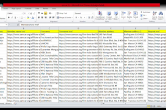 do data entry, data extraction , lead generation, copy paste