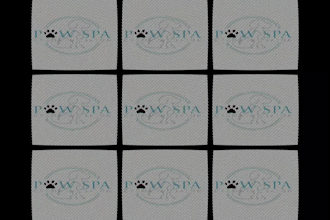 design a modern cat logo