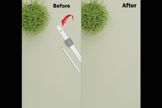 do  remove people,object, background remove from videos