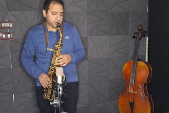 perform saxophone,violin,clarinet and cello solos without music sheets