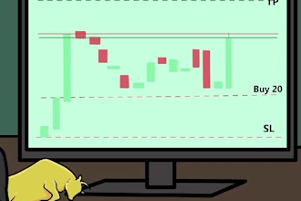 2d crypto animation, 2d memecoin animation, 2d animated video, memart illustrate