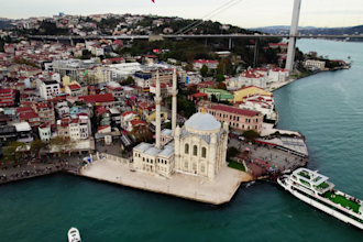 help you with anything you need related to turkey