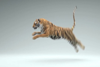 create photorealistic 3d animal animation, 3d animal rigging, 3d character model