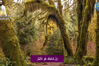 edit your tilawat e quran audio and video in hd quality
