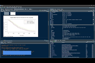 do statistical analysis and reports in r, spss, excel, stata
