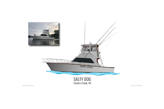 draw you boat into a vector illustration