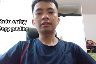 be your virtual admin assistant for data entry