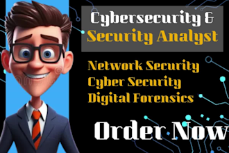 do cybersecurity project, information security tasks and penetration testing
