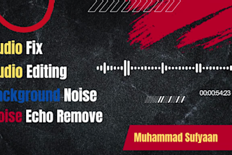 edit audio noise,echo,wind with good quality sound