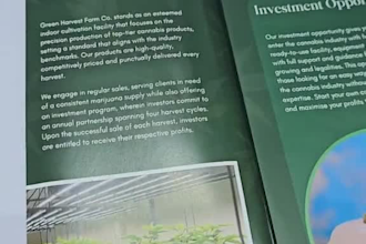 design flyers, brochures, leaflets