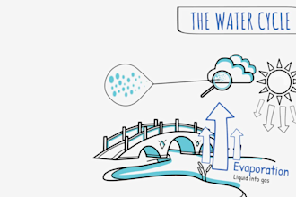 create a whiteboard animation explainer video