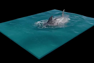 do 3d water simulation water simulation 3d fire simulation 3d fire explosion