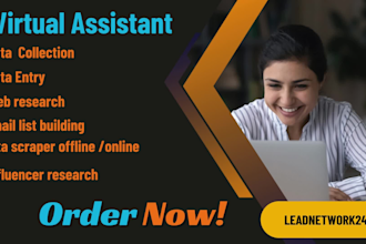provide data entry, data collection, web research, and email list building