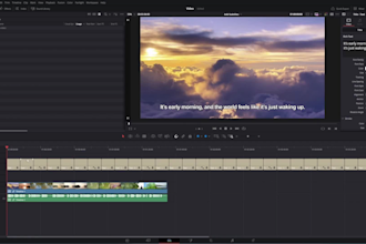 add subtitles, captions, srt