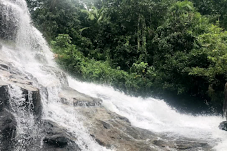 send natural place video and images