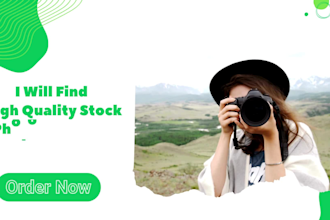 find royalty free stock photos and images for you