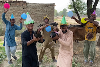 create or wish funny happy birthday video in crazy style