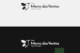 professional visual identity design, logo, colors and more