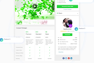 create a website promo video