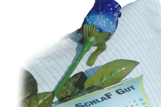 professional design of german print materials