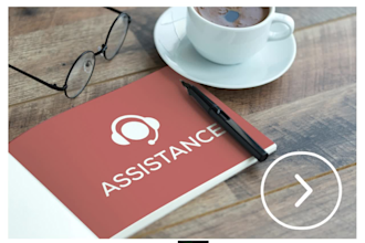 be your expert VA for ecommerce, admin assistant, data entry, blog posts