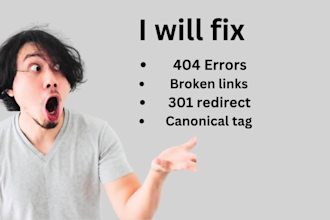 fix broken link, 404 errors and canonical tag in wordpress website