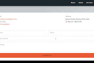 build a clean and professional website