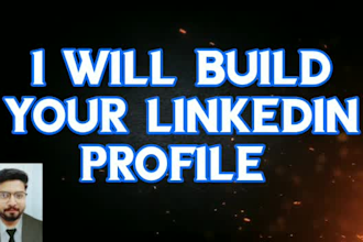 do linkedin profile, business page, connections, marketing and resume writing