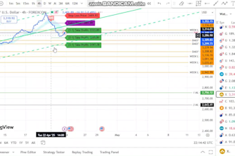 offer you my ready made strategy and trading view indicator coded in pine script