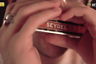 play a captivating harmonica solo for your track