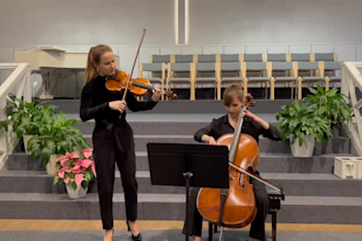 professionaly record expressive violin and cello tracks for your project