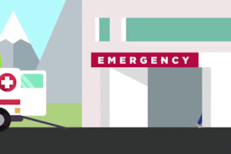 create a health insurance 2d animated promo video